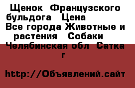 Щенок  Французского бульдога › Цена ­ 35 000 - Все города Животные и растения » Собаки   . Челябинская обл.,Сатка г.